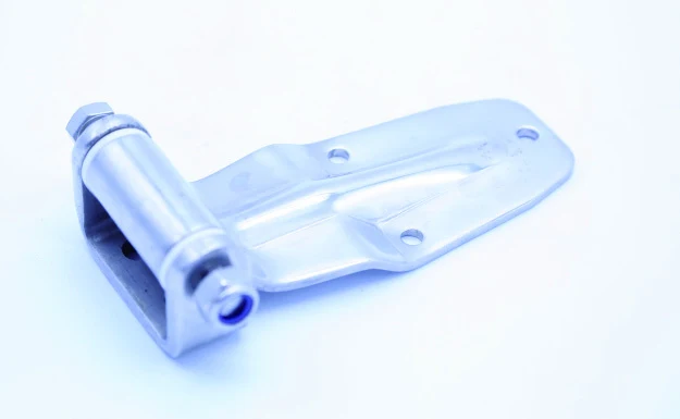 Rear Door Hinge