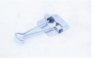 Trailer Door Latches