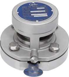 Rupture-disc safety valve