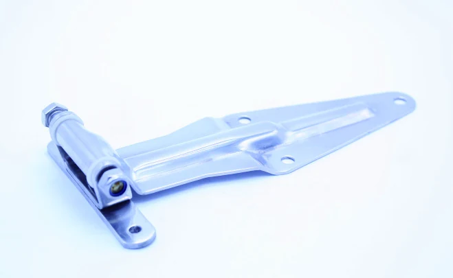 Rear Door Hinge